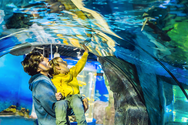 Father Son Look Fish-Aquarium Oceanarium SEA LIFE Bangkok