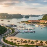 Tuan Chau Island Unveiled: Your Complete Guide to Halong Bay's Gem