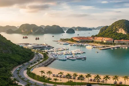 How to Visit Tuan Chau Island, Vietnam – Your Complete Travel Guide Tuan Chau Island Unveiled: Your Complete Guide to Halong Bay's Gem