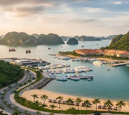 Tuan Chau Island Unveiled: Your Complete Guide to Halong Bay's Gem