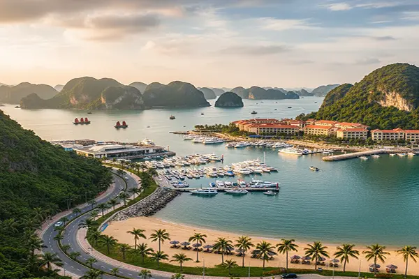 Tuan Chau Island Unveiled: Your Complete Guide to Halong Bay's Gem